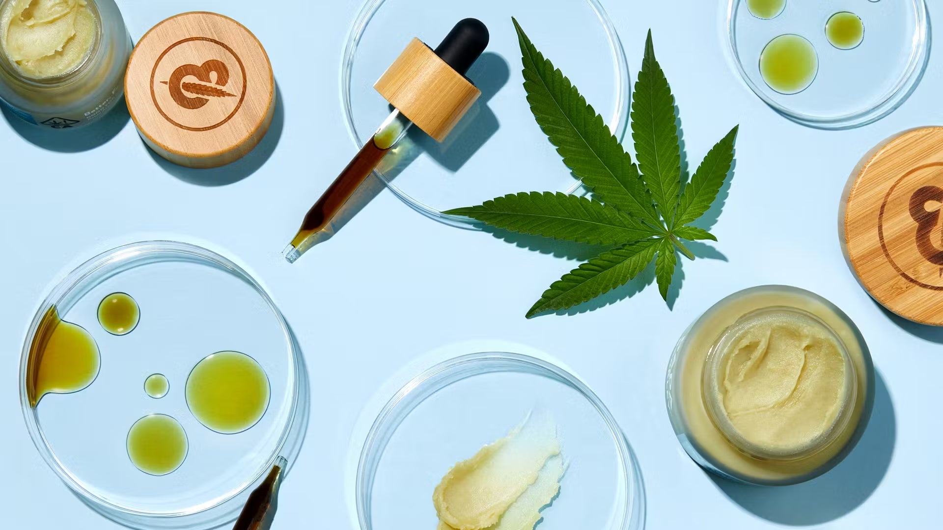 How to Add CBD to Your Daily Wellness Routine